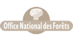Logo Office national des forêts