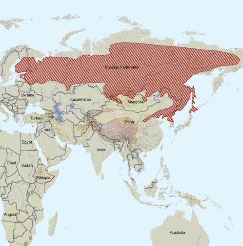 Carte de répartition : Polatouche de Sibérie