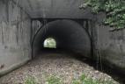 Tunnel sous l'autoroute A8 - passage de l'Écureuil à ventre rouge vers le nord.