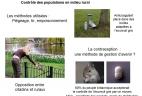 Moyens de contrôle des populations d'Écureuils gris 